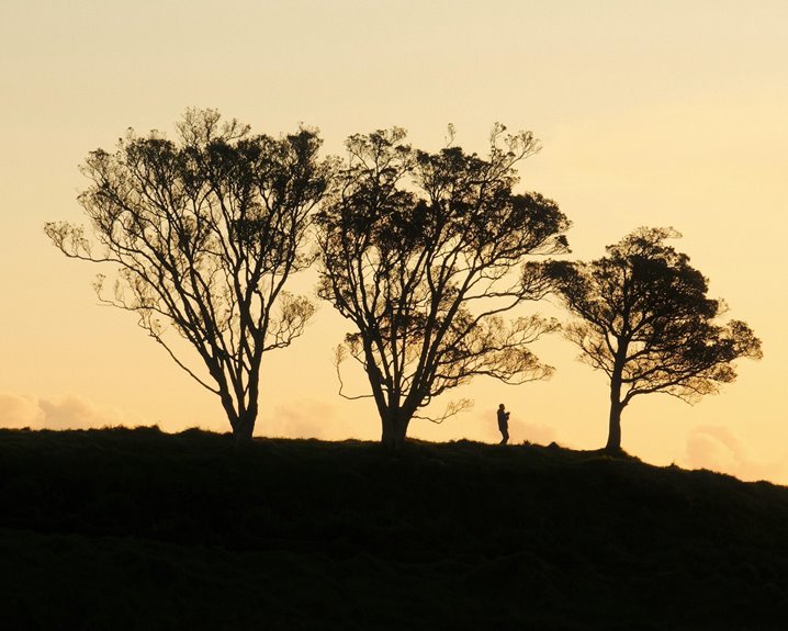 apex lane opportunity surge